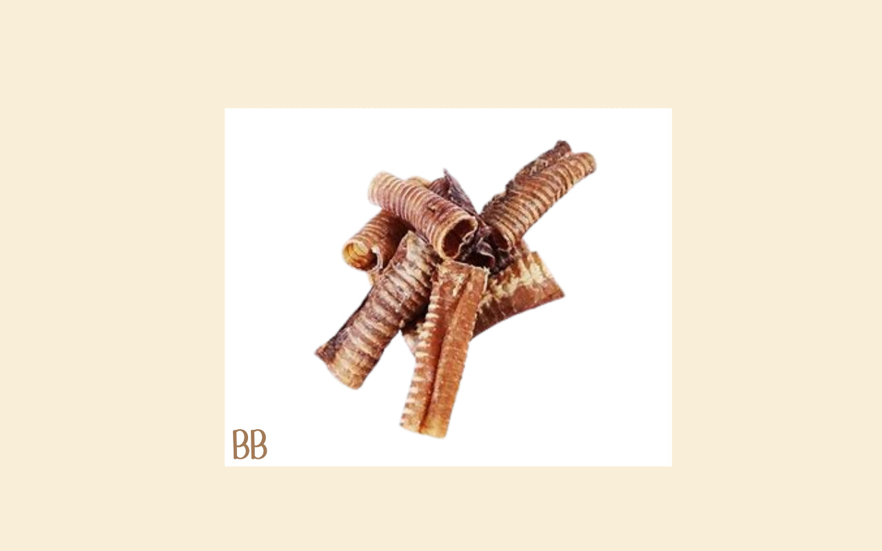 Beef Trachea