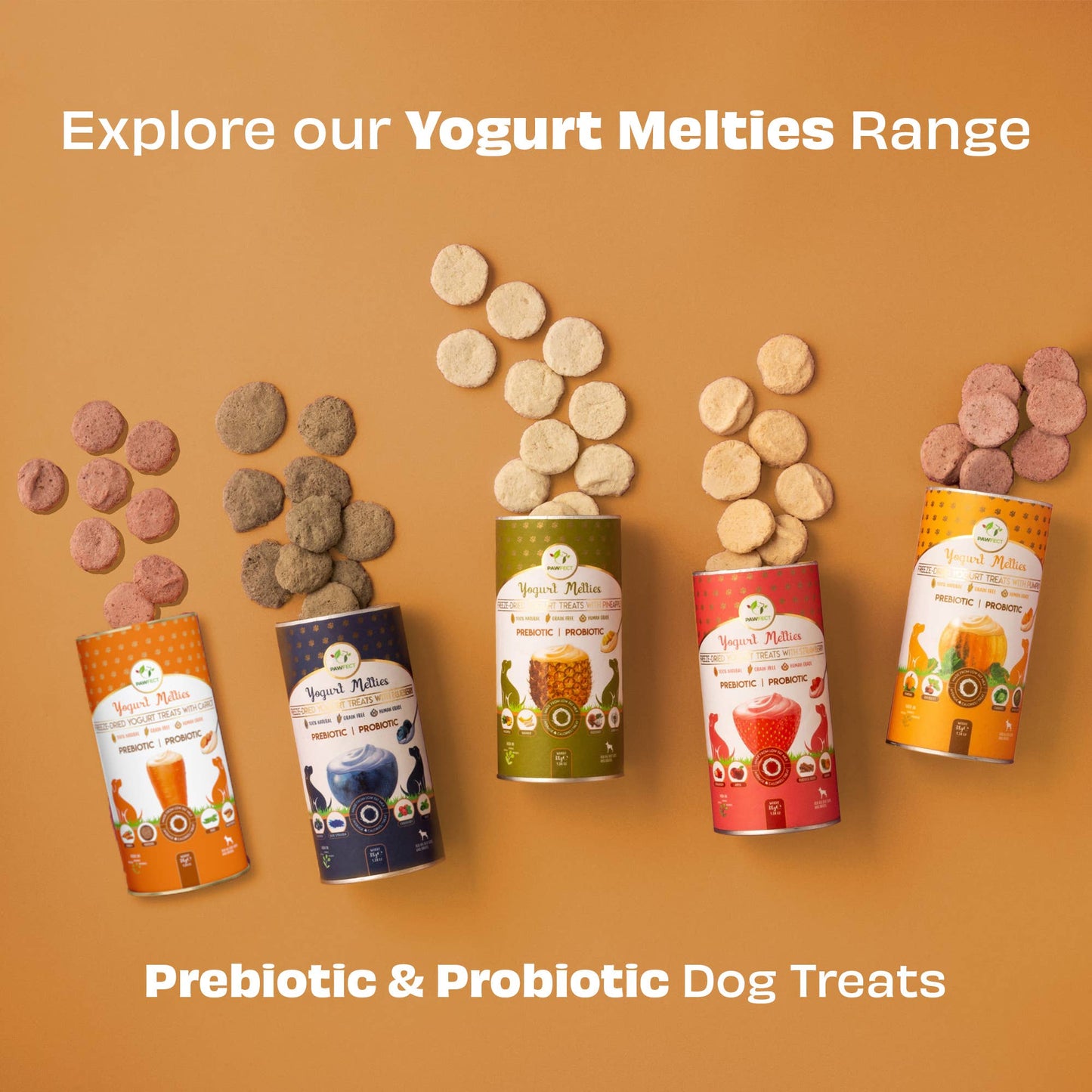 Pawfect Yogurt Melties Prebiotic and Probiotic Dog Treats: Carrot & Yogurt (38g/1.34oz)