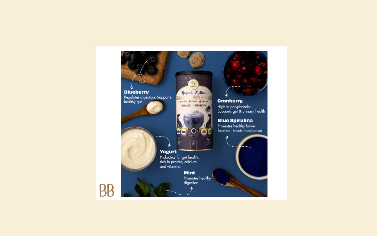 Blueberry yoghurt melts