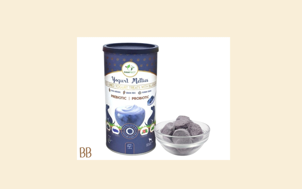 Blueberry yoghurt melts