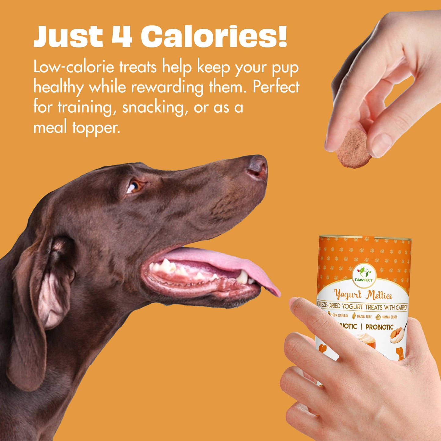 Pawfect Yogurt Melties Prebiotic and Probiotic Dog Treats: Carrot & Yogurt (38g/1.34oz)