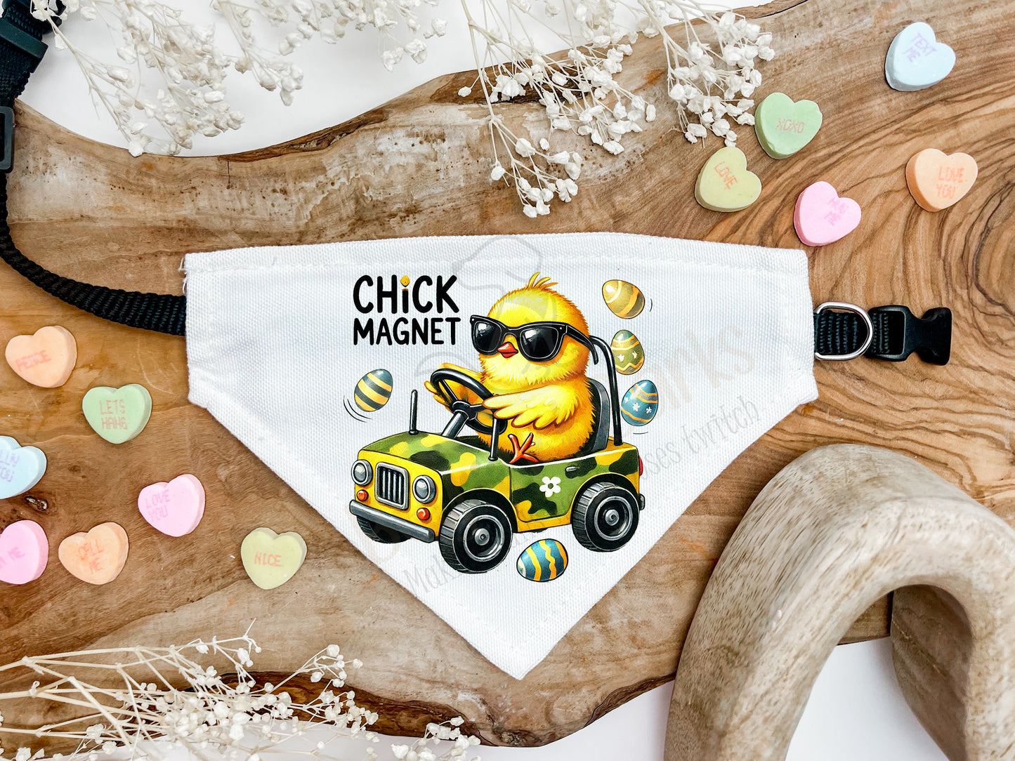 Chick magnet bandana