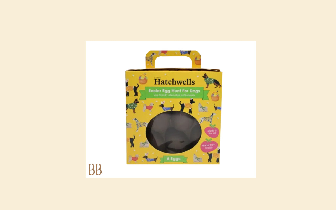 Hatchwells easter egg hunt