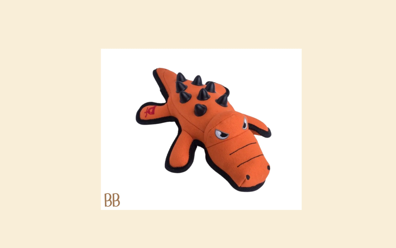 Seriously Strong "Nobbly" Crocodile