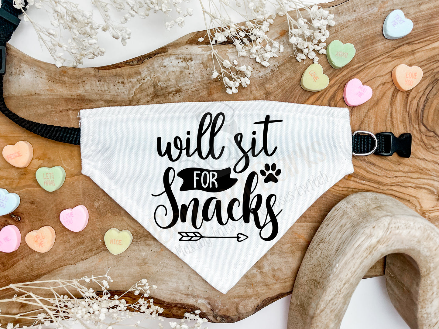 Will sit for snacks dog bandana
