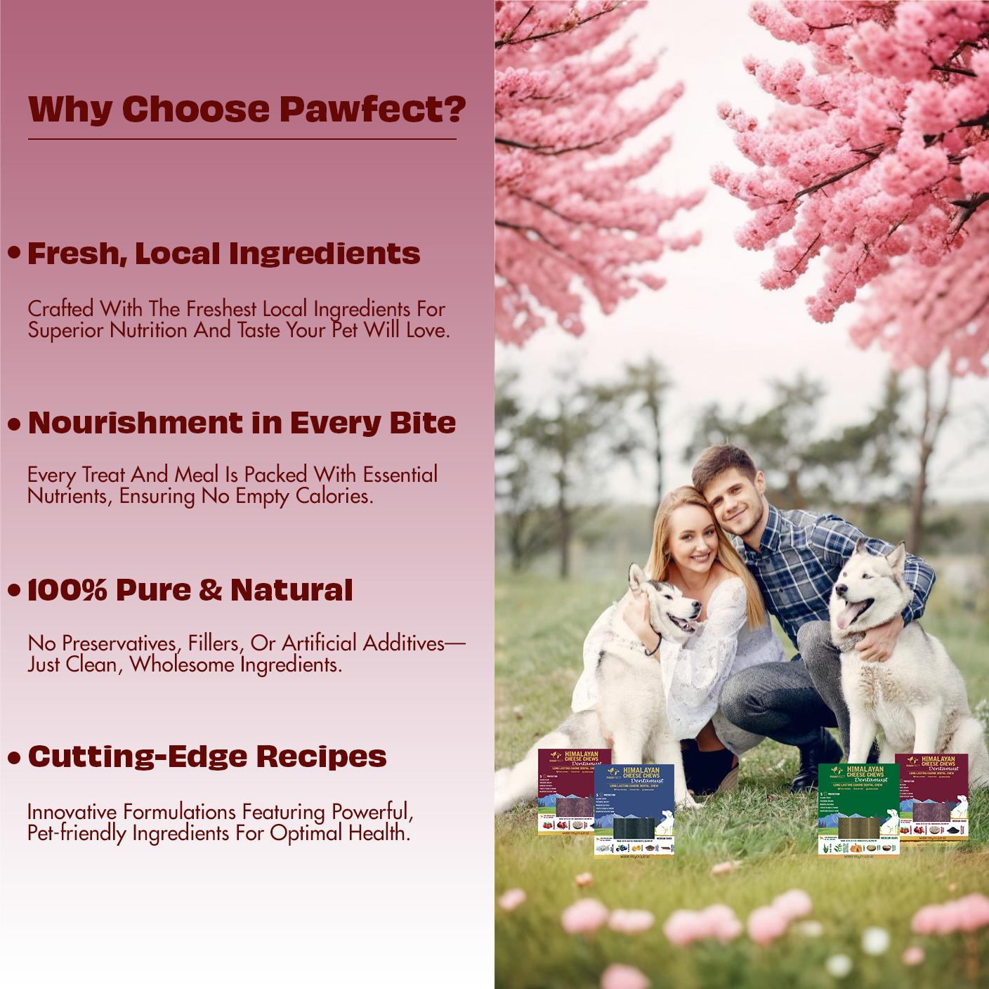 Pawfect Himalayan Cheese Chews for Dogs - Dentamust Cranberry