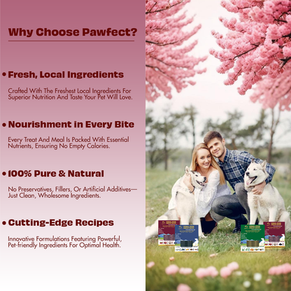 Pawfect Himalayan Cheese Chews for Dogs - Dentamust Cranberry