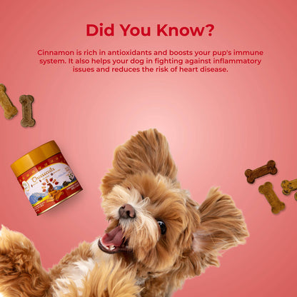 Pawfect Cheesecuits Cheesy Dog Biscuits with Apple and Cinnamon- Cheesecuits (100g/3.53oz)
