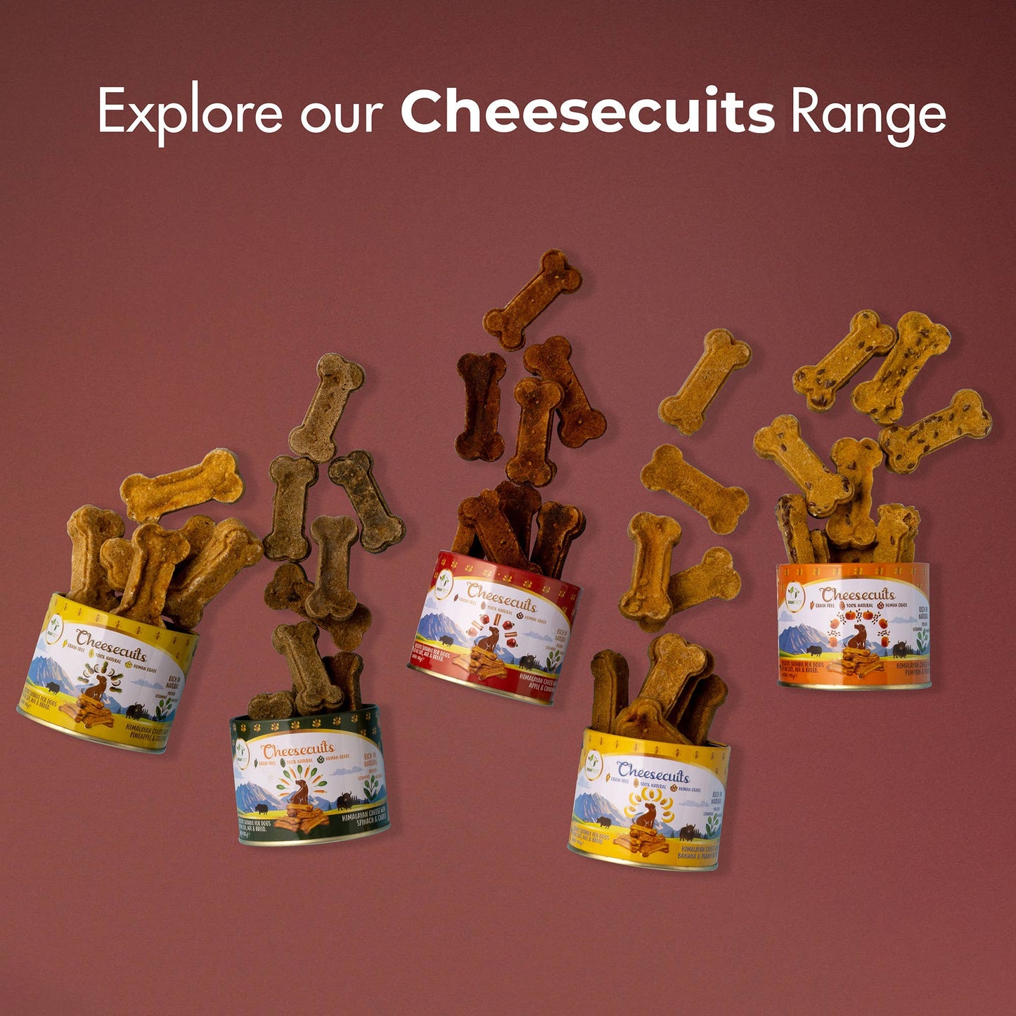 Pawfect Cheesecuits Cheesy Dog Biscuits with Apple and Cinnamon- Cheesecuits (100g/3.53oz)