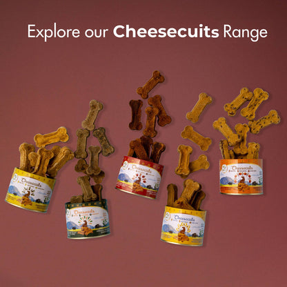 Pawfect Cheesecuits Cheesy Dog Biscuits with Apple and Cinnamon- Cheesecuits (100g/3.53oz)