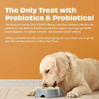 Pawfect Yogurt Melties Prebiotic and Probiotic Dog Treats: Carrot & Yogurt (38g/1.34oz)