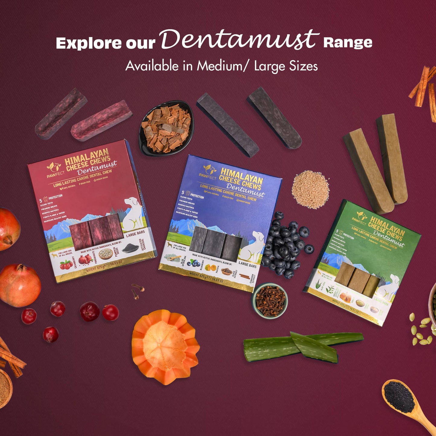 Pawfect Himalayan Cheese Chews for Dogs - Dentamust Cranberry