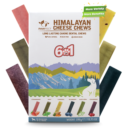 Pawfect Himalayan Cheese Chew Bars Variety Pack (Medium) - Pack of 6 (Strawberry, Mint, Turmeric, Blueberry, Cranberry, Aloe Vera) (390g/13.75oz)