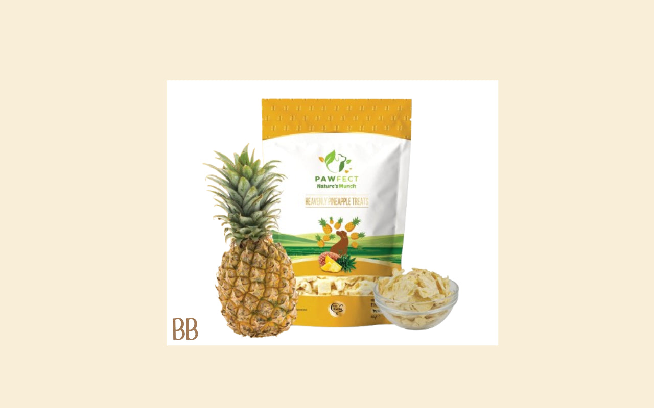 Dried pineapple treats/toppers